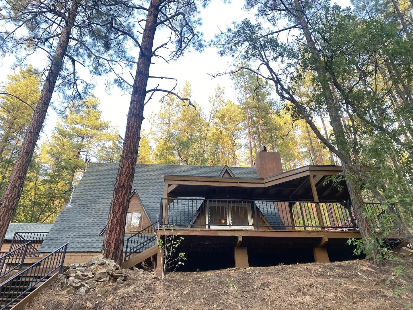 Deck loungers looking out into the forest