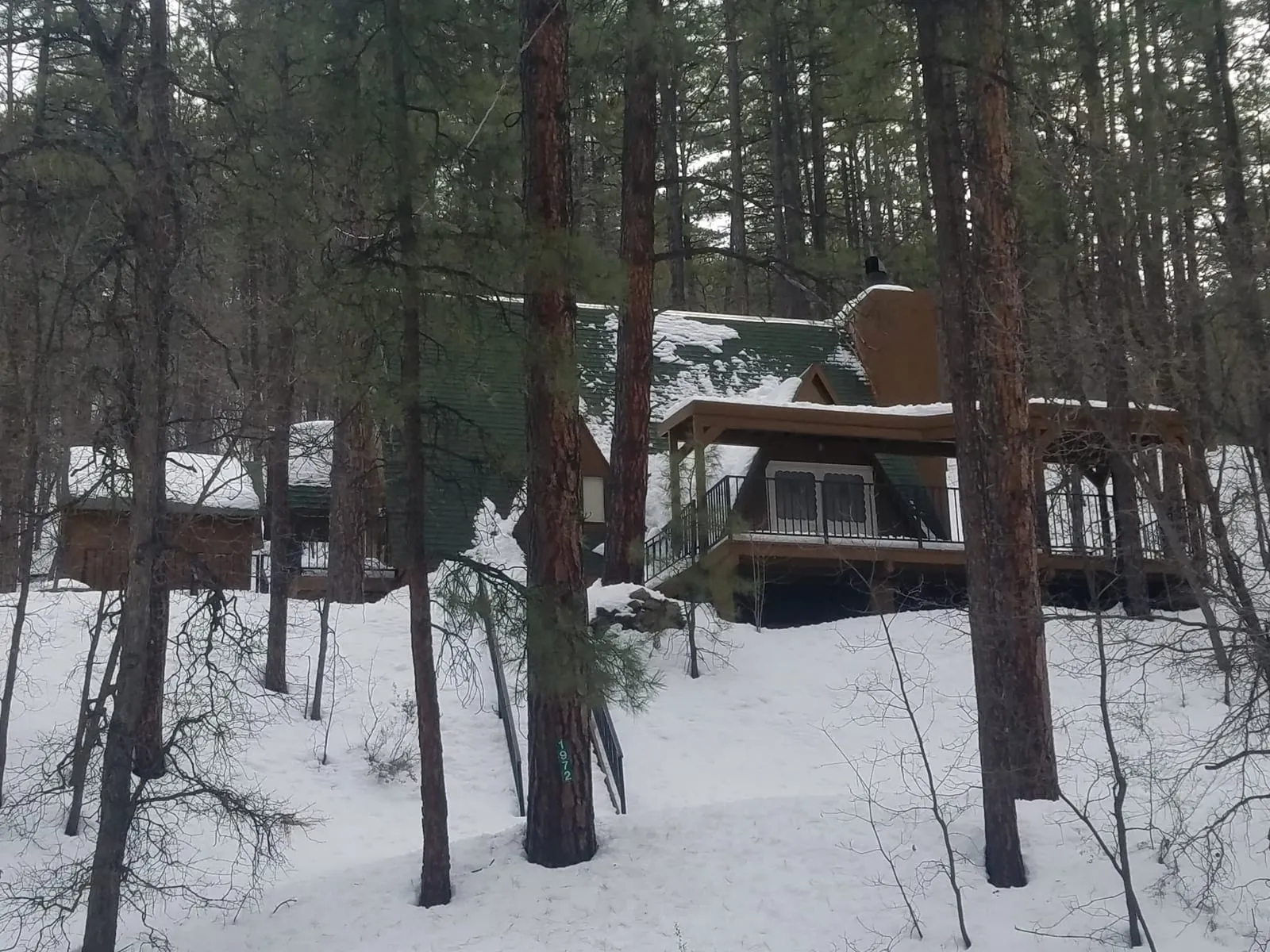A snow-blanketed cabin among the ponderosa pines near Prescott